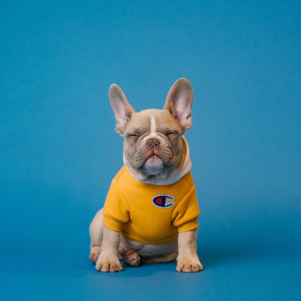 Channel Islands Family Dental Office – Port Hueneme, Ventura Ca 93041