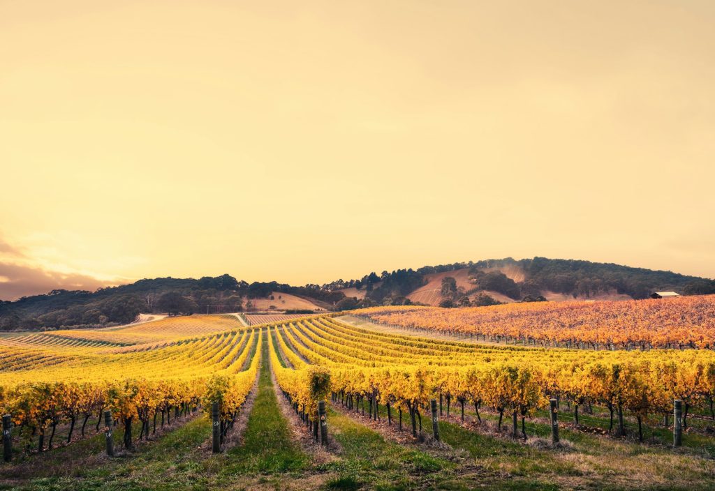 Channel Islands Family Dental Office – Port Hueneme, Ventura Ca 93041